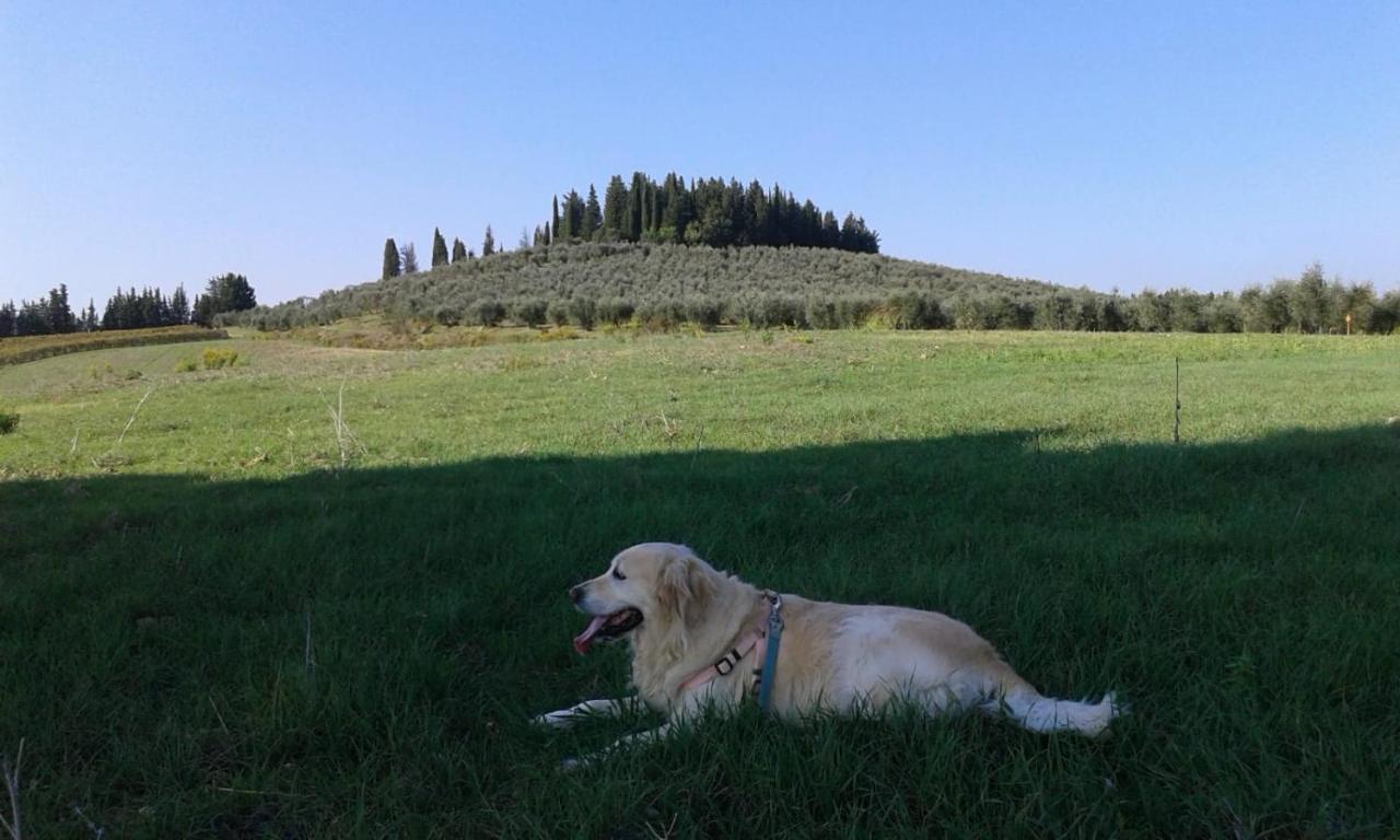 Dolce Cuore Luxe Apartment Chianti Florence Male Romantyczne Mieszkanie San Donato in Poggio Dış mekan fotoğraf